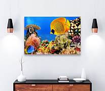 Obraz Ryby Rybky Rybičky zs1145